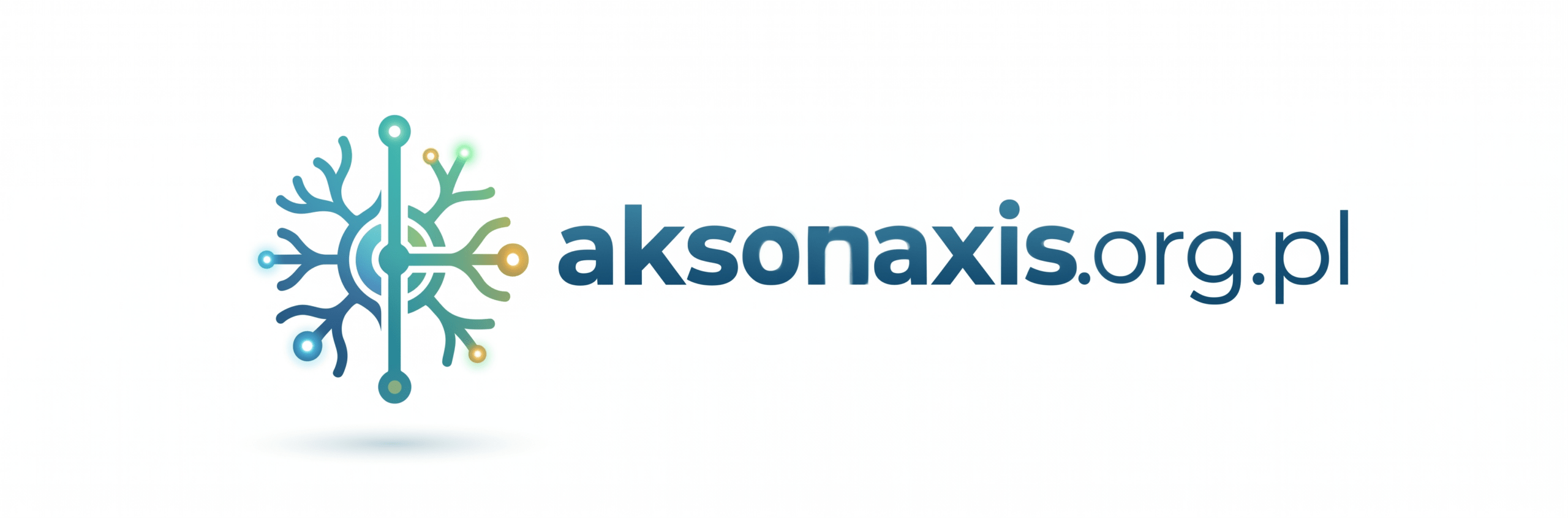 aksonaxis.org.pl