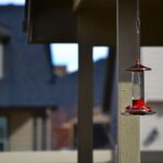 Wiszący karmnik dla ptaków z czerwonym płynem zawieszony pod zadaszeniem tarasu