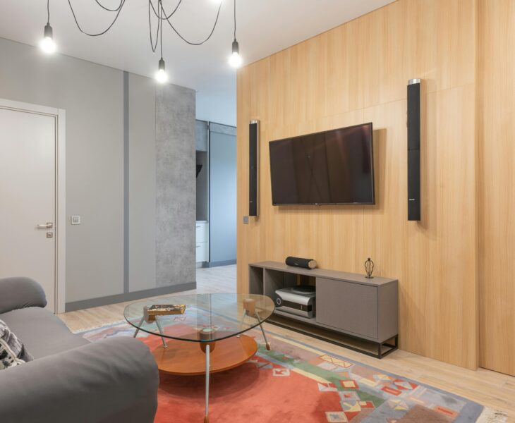 salon z jedną ścianą drewnianą